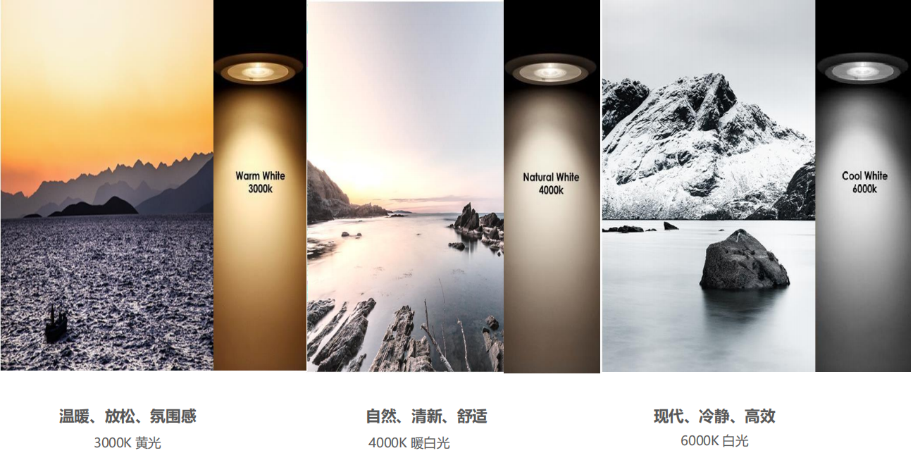 【設(shè)計(jì)案例】普照國(guó)康醫(yī)藥辦公室項(xiàng)目概念設(shè)計(jì)——以空間敘事，筑品牌基因(圖26)
