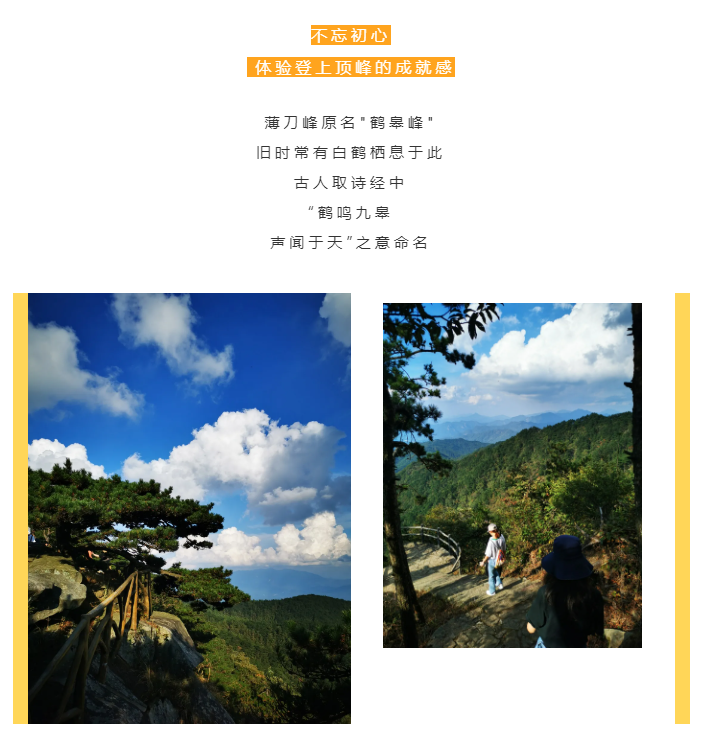 秋天了，來一場成年人的秋游吧(圖2)