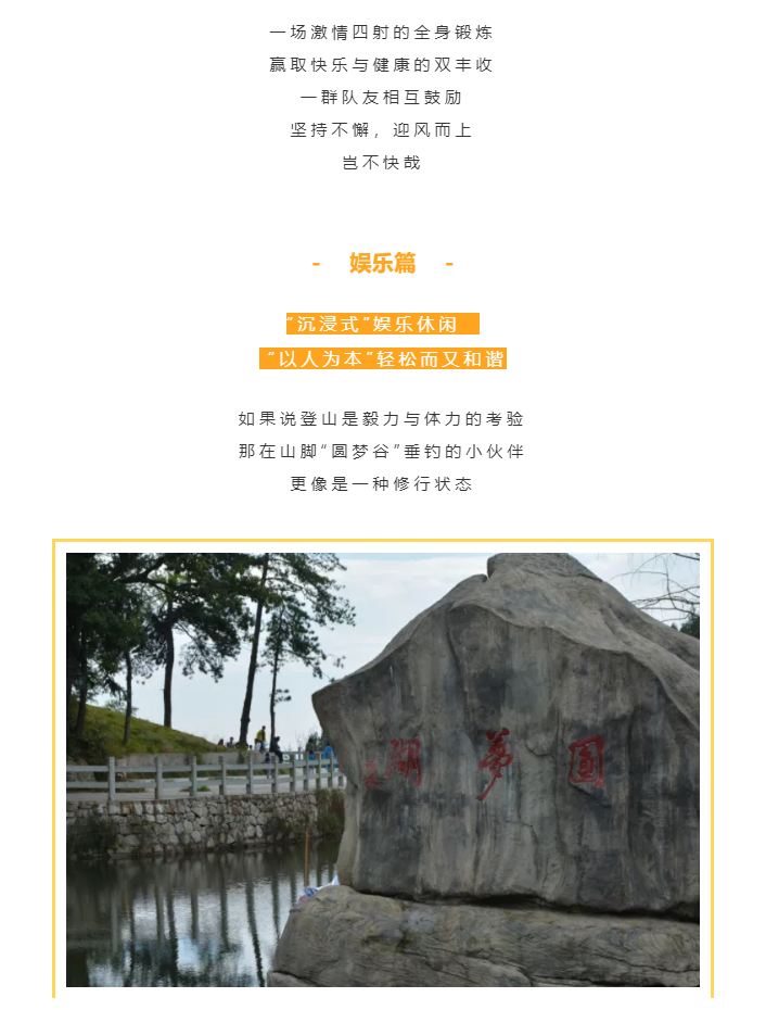 秋天了，來一場成年人的秋游吧(圖4)