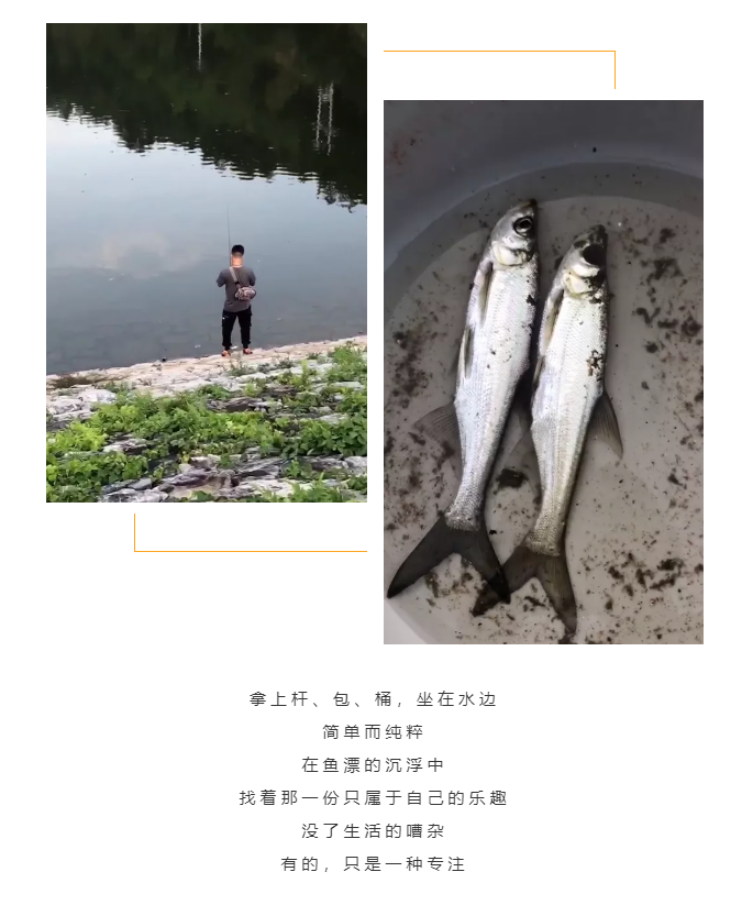 秋天了，來一場成年人的秋游吧(圖5)